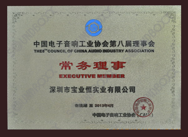 中国电子音响工业协会常务理事