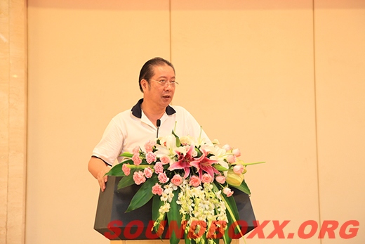 中国演艺设备技术协会理事长朱新村发表总结讲话