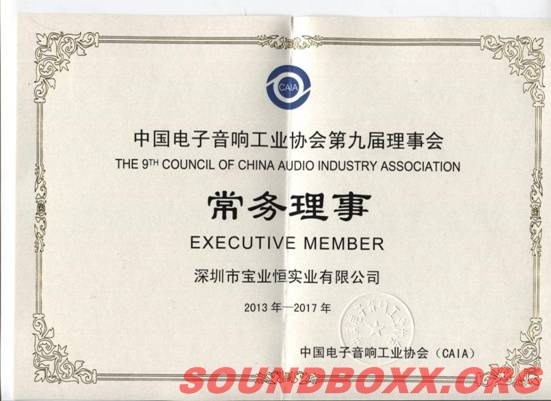 宝业恒当选为中国电子音响工业协会第九届理事会常务理事